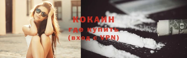 гидра Новокубанск