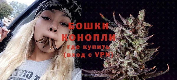 альфа пвп Новодвинск
