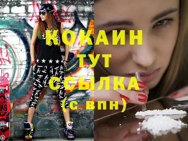 прущие крисы Новозыбков