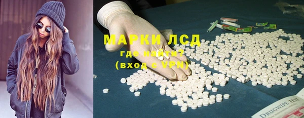 прущие крисы Новозыбков