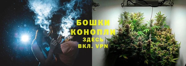 альфа пвп Новодвинск