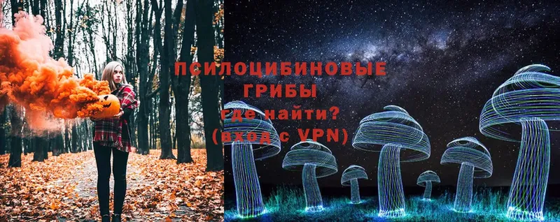 Псилоцибиновые грибы Cubensis  Инза 