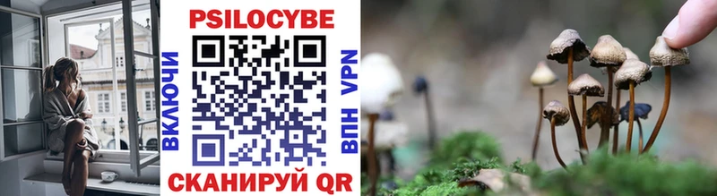 Галлюциногенные грибы Psilocybine cubensis  Инза 