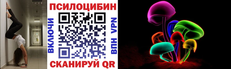 Галлюциногенные грибы Psilocybe Инза